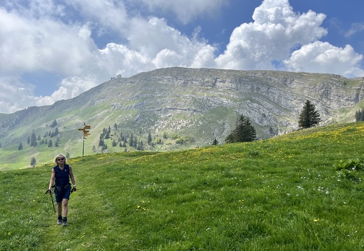 23-05-26 13-24-14 5699